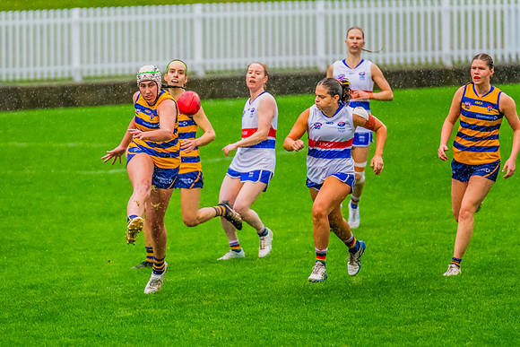 Rd 8 WPD - UNSW-ES v Sydney Uni - 1 June 2024