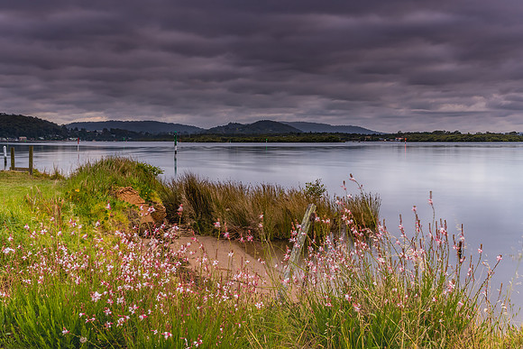 Cloudy Skies and Wildflowers Waterscape