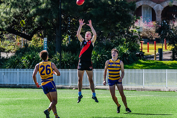Rd 15 Men's Div 1 - North Shore v Sydney Uni - 3 August 2024