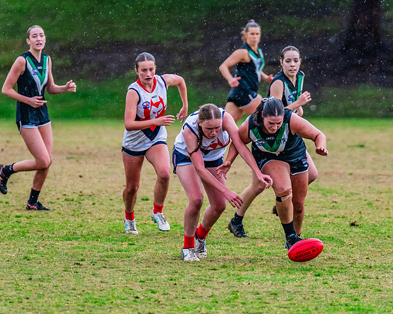 Rd 6 WPD - UTS v Pennant Hills - 11 May 2024