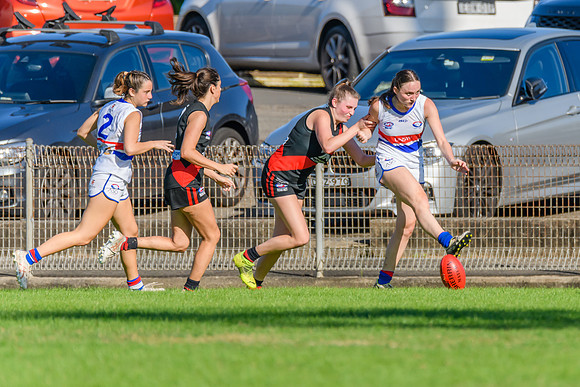 Rd 6 WPD - UNSW ES v North Shore - 14 May 2022