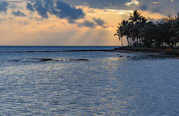Tropical Sunset with Palm Trees in Silhouette