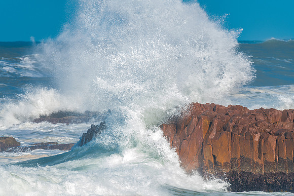 A wild day at the seaside