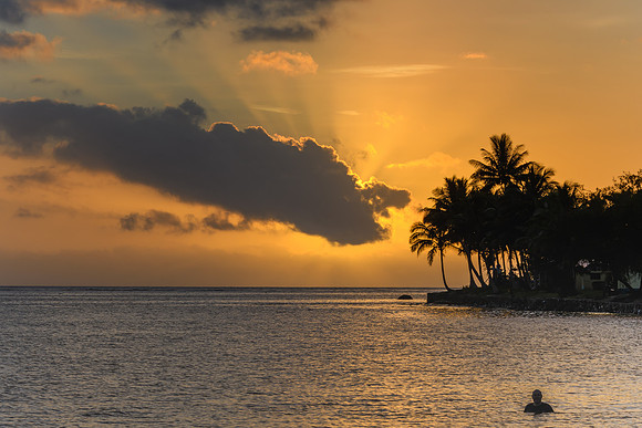 Cooling off with a swim under a Tropical Sunset