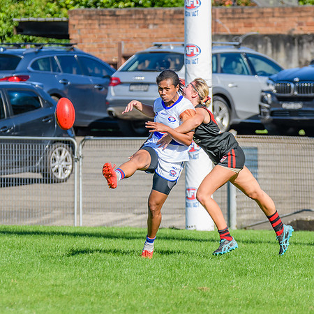 Rd 6 WPD - UNSW ES v North Shore - 14 May 2022