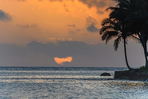 Tropical Sunset with Palm Trees in Silhouette