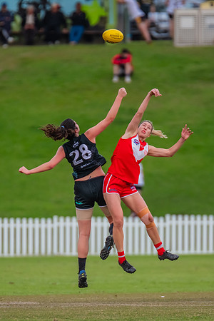 Rd 7 WPD - St George v UTS - 25 May 2024