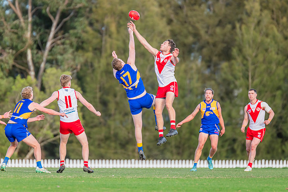 Rd 17 MPD - East Coast v St George - 17 August 2024