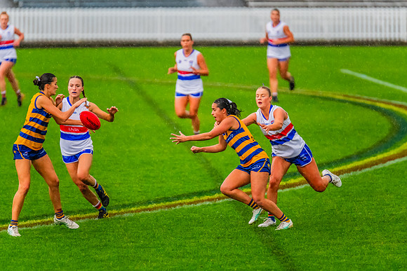 Rd 8 WPD - UNSW-ES v Sydney Uni - 1 June 2024