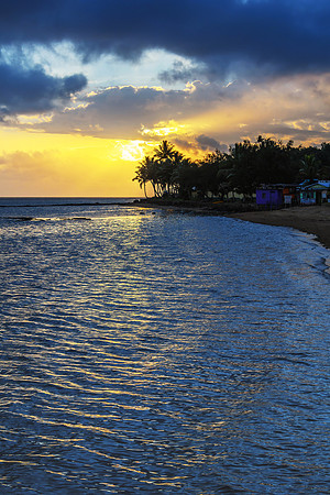 Tropical Sunset with Palm Trees in Silhouette