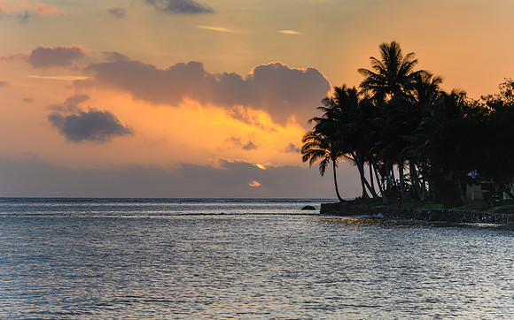 Tropical Sunset with Palm Trees in Silhouette