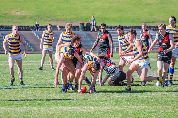 Men's Div 1 - Qualifying Final - North Shore v Sydney University