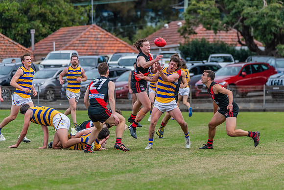 MPD Qualifying Final - North Shore v Sydney University - 20 Augu
