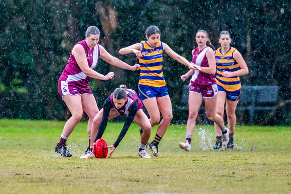 Rd 10 Women's Div 1 - Manly Warringah v Sydney Uni - 22 June 202
