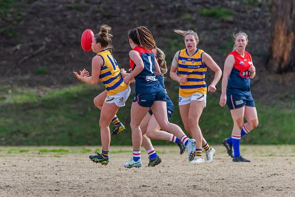 Rd 14 WPD - Pennant Hills v Sydney Uni - 16 July 2022