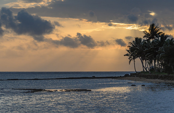 Tropical Sunset with Palm Trees in Silhouette