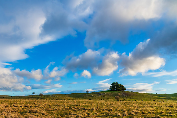 Late afternoon views over the countryside near Braidwood