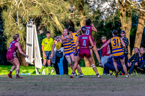 Rd 17 WPD - Manly Warringah v Sydney Uni - 16 August 2025