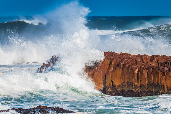 A wild day at the seaside