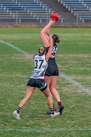 WPD Elimination Final - North Shore v Inner West - 7 August 2022