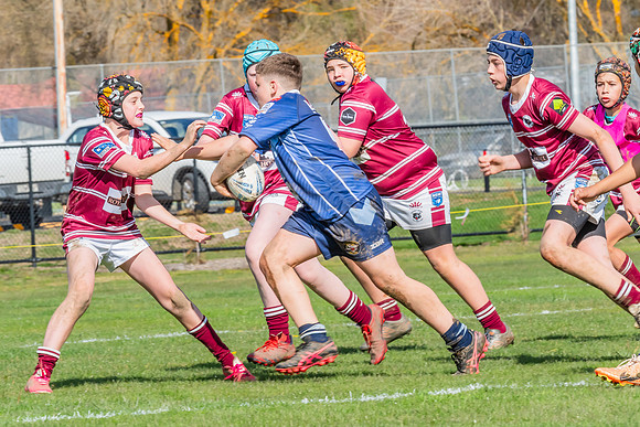 Semi Finals - Under 12s Blayney v Bloomfield - 24 Aug 2024