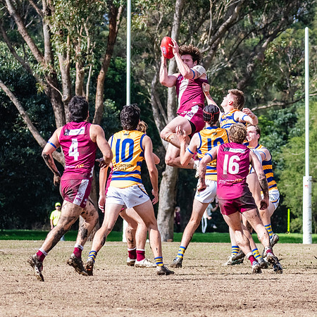 Rd 17 MPD - Manly Warringah v Sydney Uni - 16 August 2025