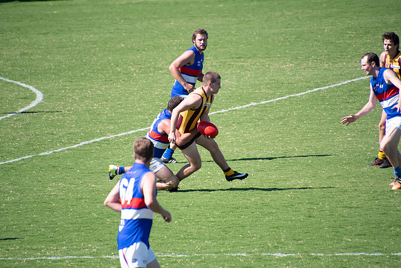 Black Diamond AFL Plate