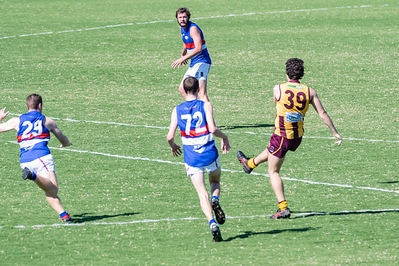Black Diamond AFL Plate