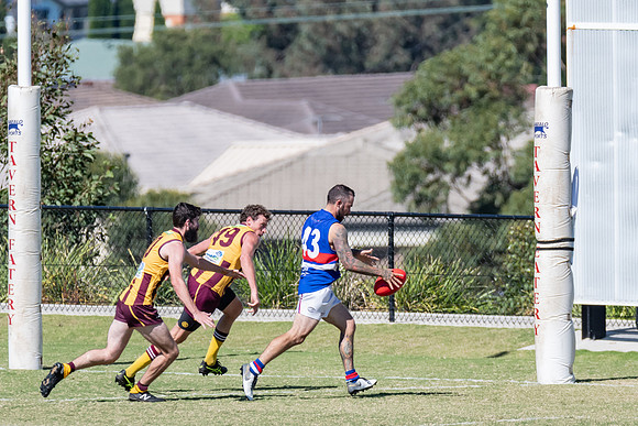 Black Diamond AFL Plate