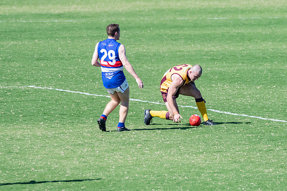 Black Diamond AFL Plate