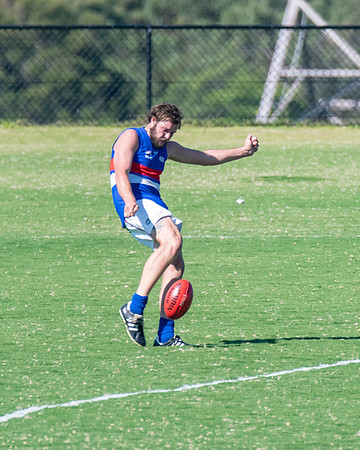 Black Diamond AFL Plate