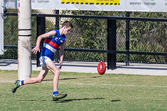 Black Diamond AFL Plate