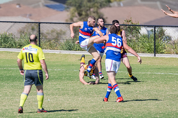 Black Diamond AFL Plate