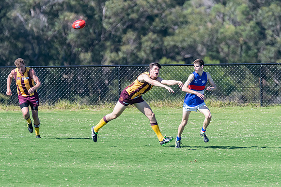 Black Diamond AFL Plate