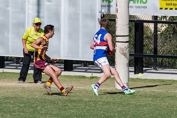 Black Diamond AFL Plate