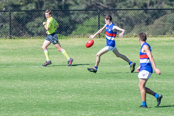 Black Diamond AFL Plate