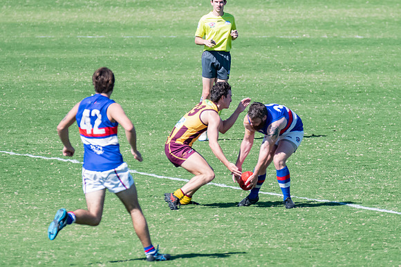 Black Diamond AFL Plate