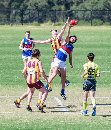 Black Diamond AFL Plate