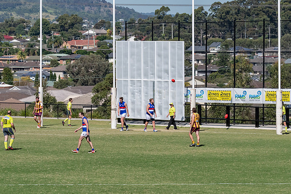 Black Diamond AFL Plate