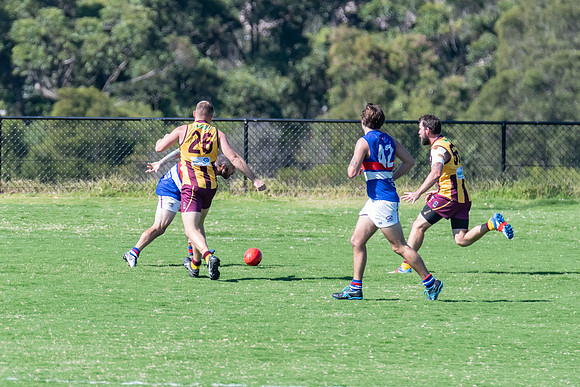 Black Diamond AFL Plate