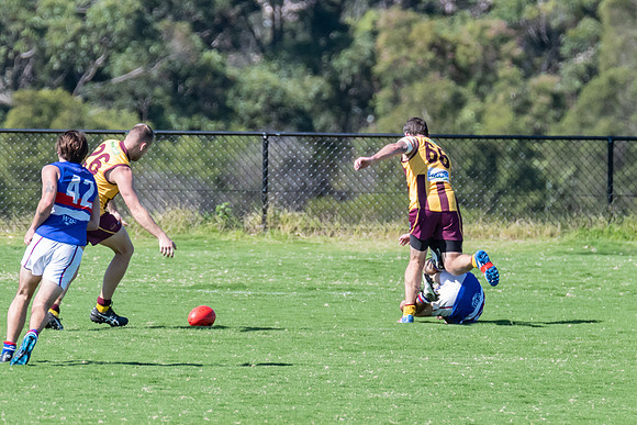 Black Diamond AFL Plate