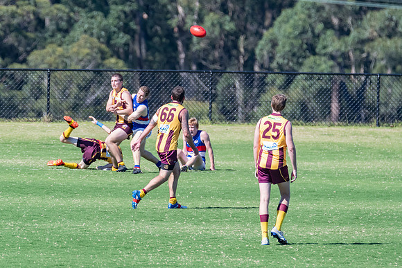 Black Diamond AFL Plate