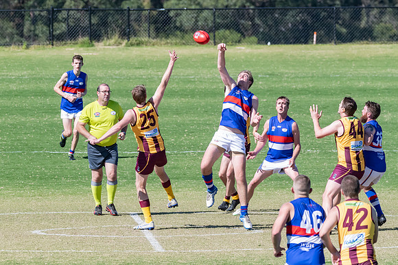 Black Diamond AFL Plate