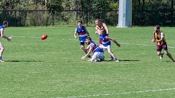 Black Diamond AFL Plate