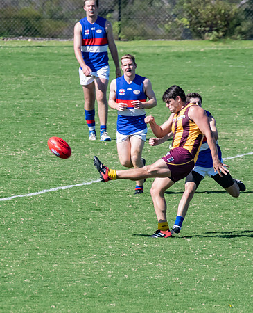 Black Diamond AFL Plate