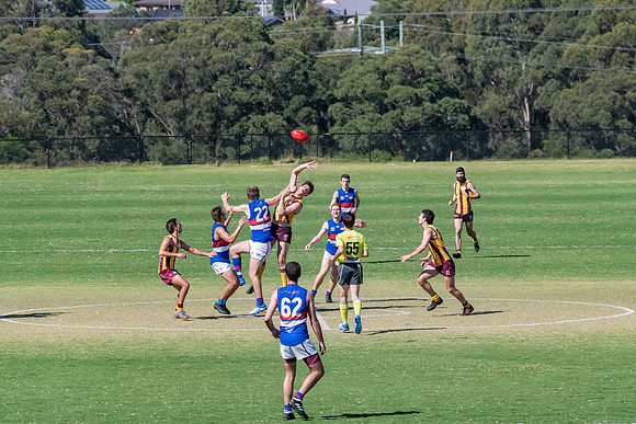 Black Diamond AFL Plate
