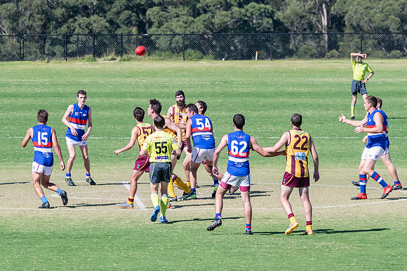 Black Diamond AFL Plate