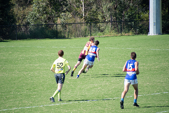 Black Diamond AFL Plate