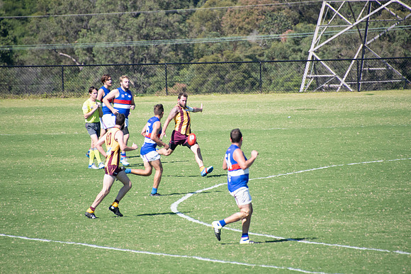 Black Diamond AFL Plate