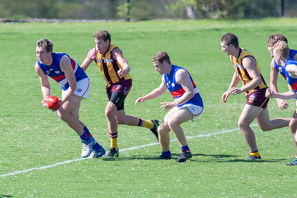 Black Diamond AFL Plate
